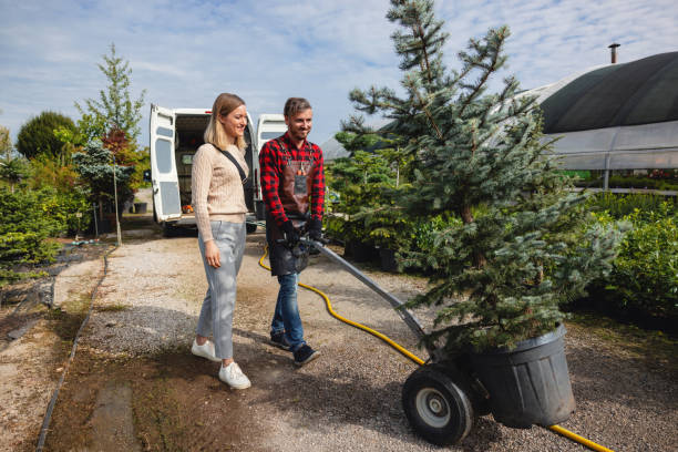 Tree Service Company in Nicollet, MN